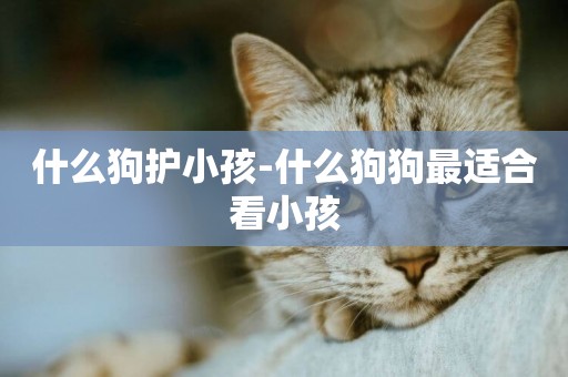 什么狗護小孩-什么狗狗最適合看小孩