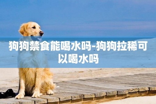 狗狗禁食能喝水嗎-狗狗拉稀可以喝水嗎
