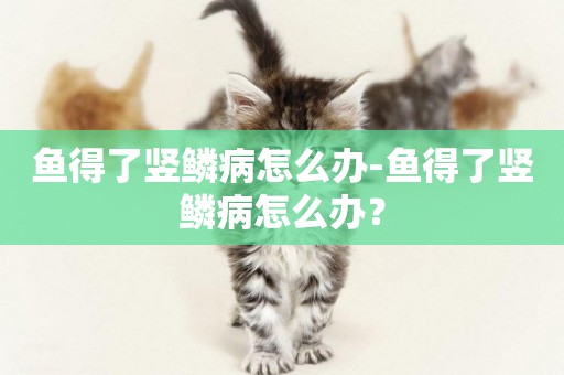 魚得了豎鱗病怎么辦-魚得了豎鱗病怎么辦？