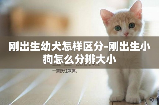 剛出生幼犬怎樣區分-剛出生小狗怎么分辨大小
