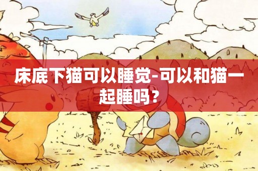 床底下貓可以睡覺-可以和貓一起睡嗎？