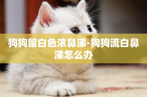 狗狗留白色濃鼻涕-狗狗流白鼻涕怎么辦
