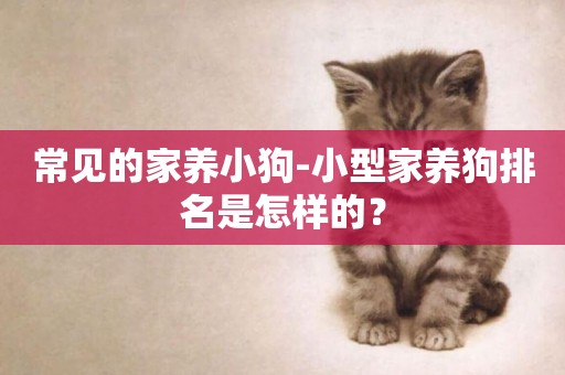 常見的家養小狗-小型家養狗排名是怎樣的？