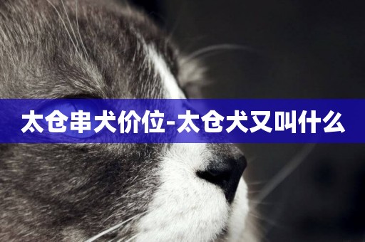 太倉串犬價位-太倉犬又叫什么