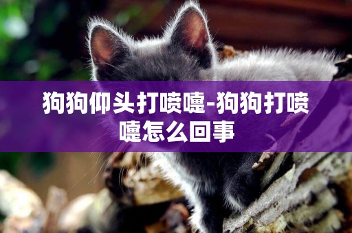 狗狗仰頭打噴嚏-狗狗打噴嚏怎么回事