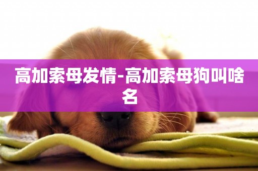 高加索母發情-高加索母狗叫啥名