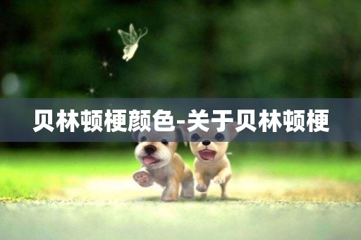 貝林頓梗顏色-關于貝林頓梗
