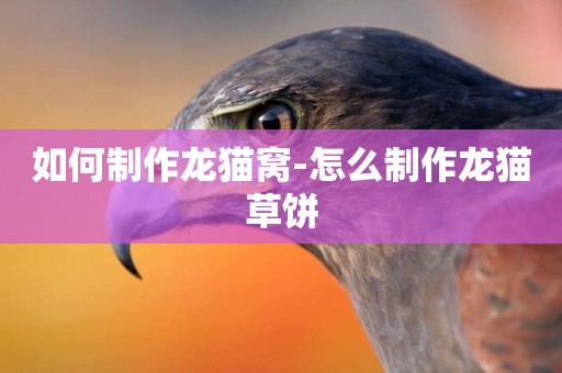 如何制作龍貓窩-怎么制作龍貓草餅