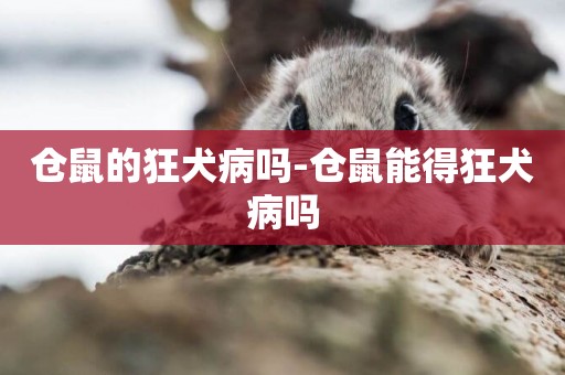 倉鼠的狂犬病嗎-倉鼠能得狂犬病嗎
