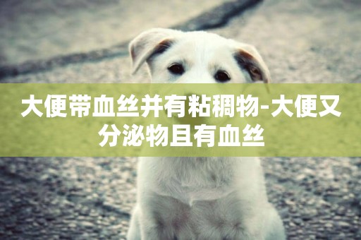 大便帶血絲并有粘稠物-大便又分泌物且有血絲