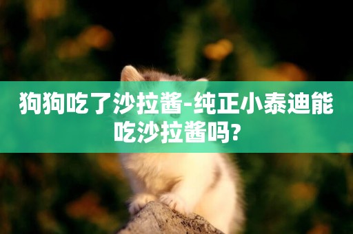 狗狗吃了沙拉醬-純正小泰迪能吃沙拉醬嗎?