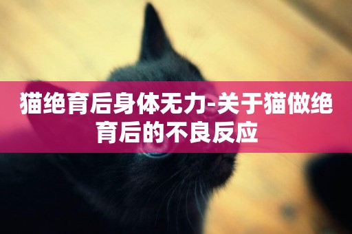 貓絕育后身體無力-關于貓做絕育后的不良反應