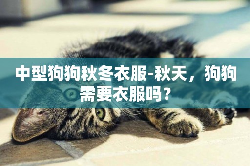 中型狗狗秋冬衣服-秋天，狗狗需要衣服嗎？