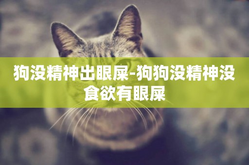 狗沒精神出眼屎-狗狗沒精神沒食欲有眼屎