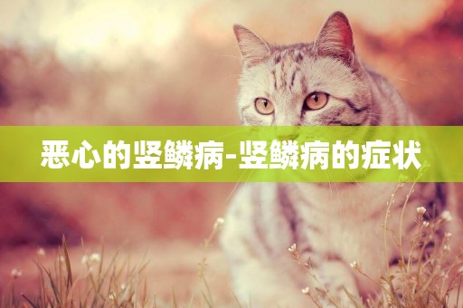 惡心的豎鱗病-豎鱗病的癥狀