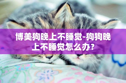 博美狗晚上不睡覺-狗狗晚上不睡覺怎么辦？