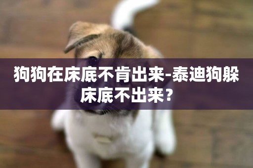 狗狗在床底不肯出來-泰迪狗躲床底不出來？