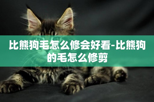 比熊狗毛怎么修會好看-比熊狗的毛怎么修剪