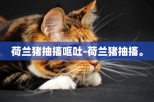 荷蘭豬抽搐嘔吐-荷蘭豬抽搐。
