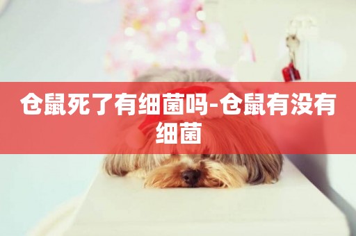 倉鼠死了有細菌嗎-倉鼠有沒有細菌