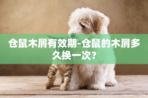 倉鼠木屑有效期-倉鼠的木屑多久換一次？
