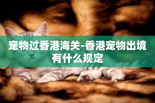 寵物過香港海關-香港寵物出境有什么規定