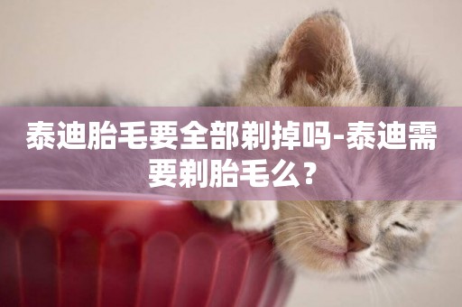 泰迪胎毛要全部剃掉嗎-泰迪需要剃胎毛么？
