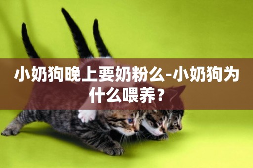 小奶狗晚上要奶粉么-小奶狗為什么喂養？