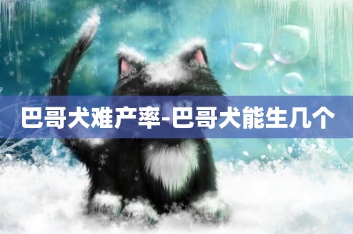 巴哥犬難產率-巴哥犬能生幾個