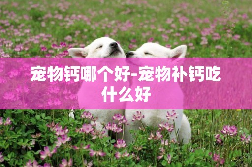 寵物鈣哪個好-寵物補鈣吃什么好