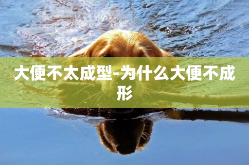 大便不太成型-為什么大便不成形