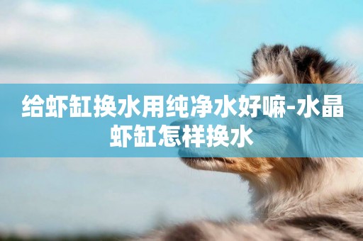 給蝦缸換水用純凈水好嘛-水晶蝦缸怎樣換水
