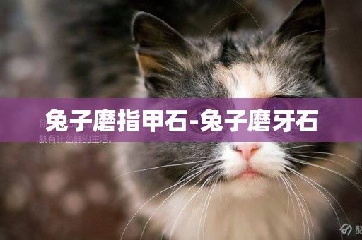 兔子磨指甲石-兔子磨牙石
