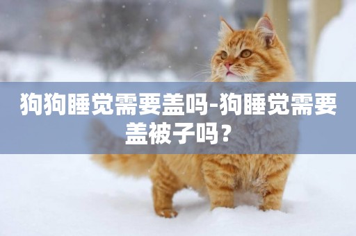 狗狗睡覺需要蓋嗎-狗睡覺需要蓋被子嗎？