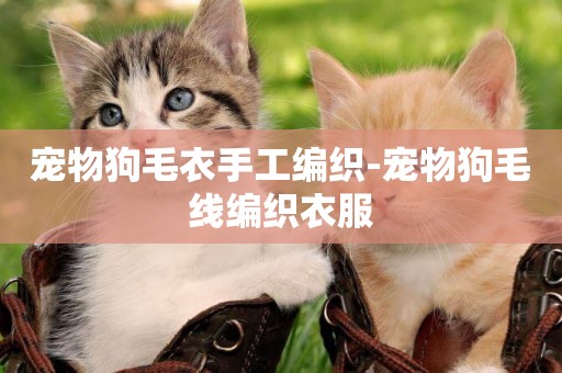 寵物狗毛衣手工編織-寵物狗毛線編織衣服