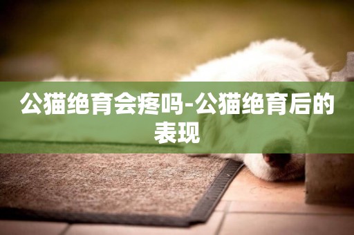 公貓絕育會疼嗎-公貓絕育后的表現