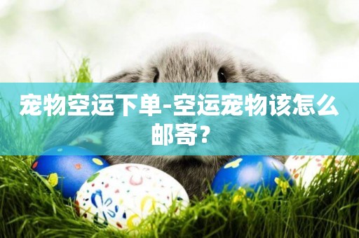 寵物空運下單-空運寵物該怎么郵寄？