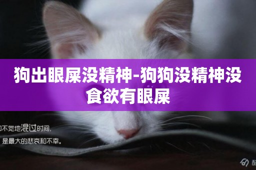 狗出眼屎沒精神-狗狗沒精神沒食欲有眼屎
