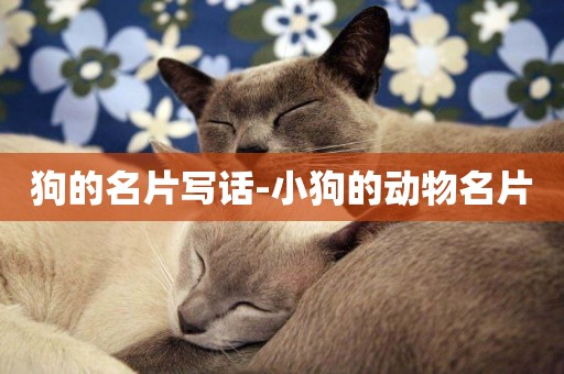 狗的名片寫話-小狗的動物名片
