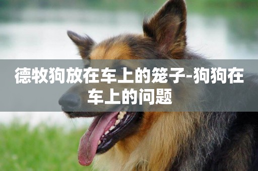 德牧狗放在車上的籠子-狗狗在車上的問題