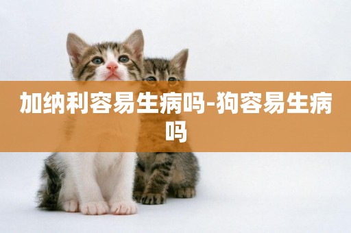 加納利容易生病嗎-狗容易生病嗎