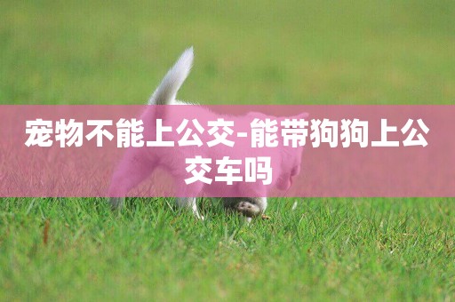 寵物不能上公交-能帶狗狗上公交車嗎