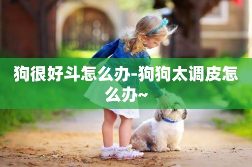 狗很好斗怎么辦-狗狗太調皮怎么辦~