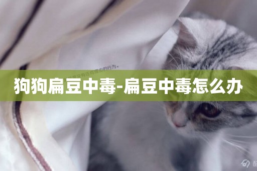 狗狗扁豆中毒-扁豆中毒怎么辦