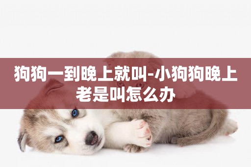狗狗一到晚上就叫-小狗狗晚上老是叫怎么辦