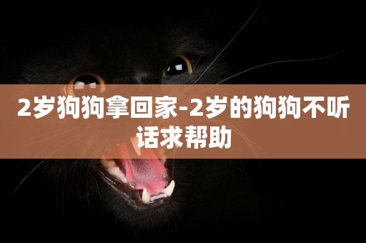 2歲狗狗拿回家-2歲的狗狗不聽話求幫助