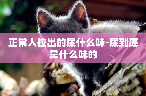 正常人拉出的屎什么味-屎到底是什么味的