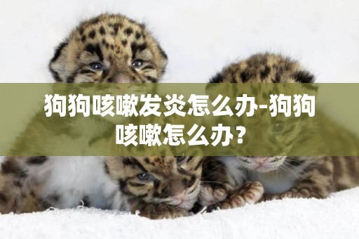 狗狗咳嗽發炎怎么辦-狗狗咳嗽怎么辦？