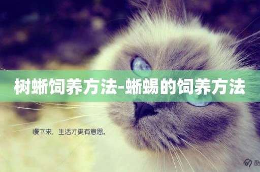 樹蜥飼養方法-蜥蜴的飼養方法