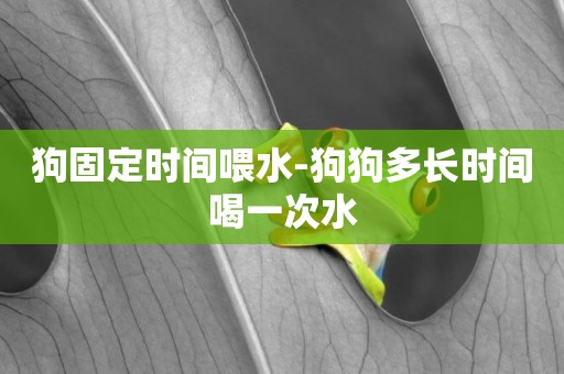 狗固定時間喂水-狗狗多長時間喝一次水